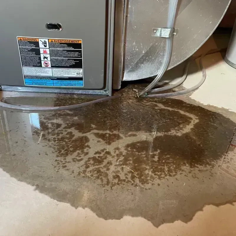 Appliance Leak Cleanup in Atlanta, IL